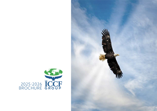 The ICCF Group Brochure