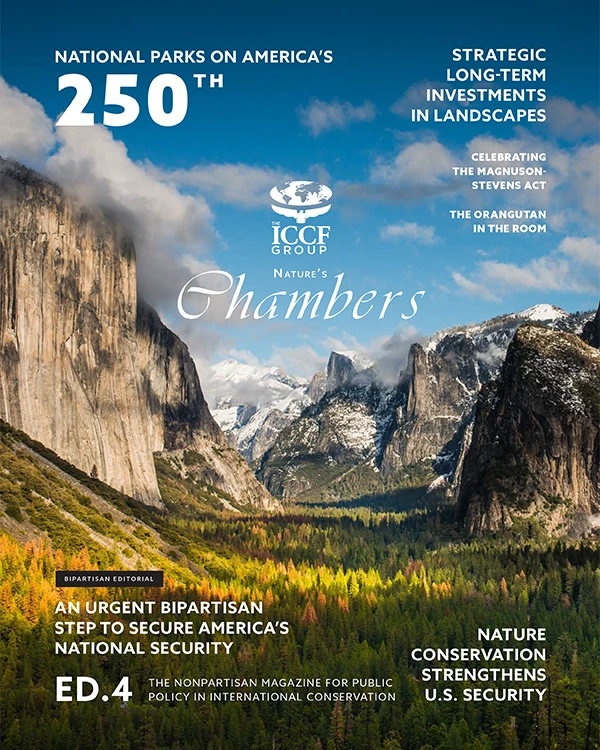 Nature's Chambers